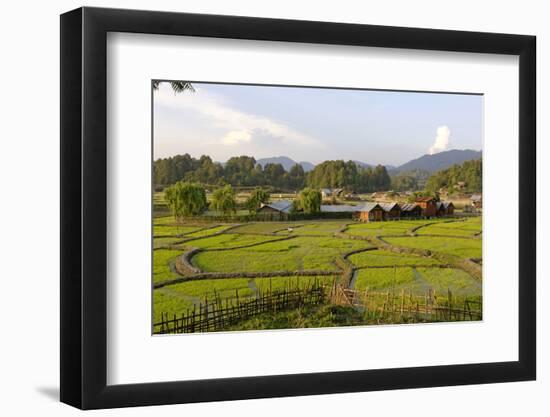 India, Arunachal Pradesh, Ziro Valley-Amar Grover-Framed Photographic Print