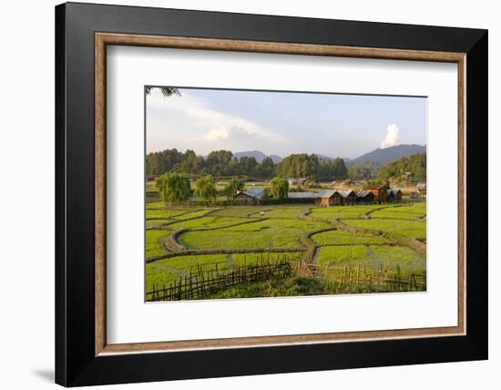 India, Arunachal Pradesh, Ziro Valley-Amar Grover-Framed Photographic Print