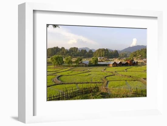 India, Arunachal Pradesh, Ziro Valley-Amar Grover-Framed Photographic Print