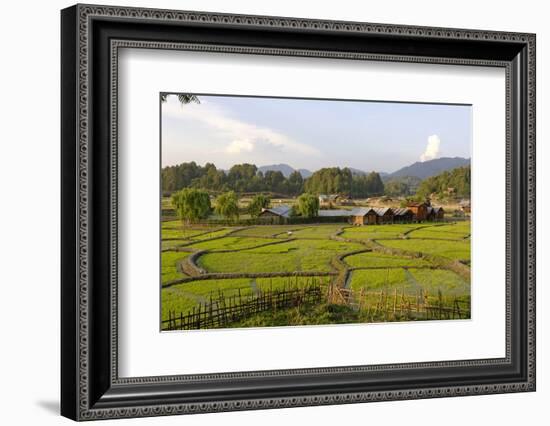 India, Arunachal Pradesh, Ziro Valley-Amar Grover-Framed Photographic Print