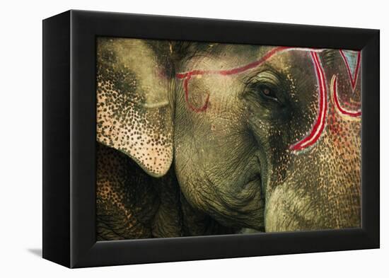 India, Bihar, Patna, Sonepur Mela Cattle Fait, Painted Elephant-Anthony Asael-Framed Premier Image Canvas