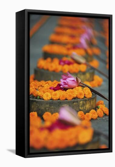 India, Bodh Gaya, Mahabodhi Complex, Great Awakening Temple, Flowers-Anthony Asael-Framed Premier Image Canvas