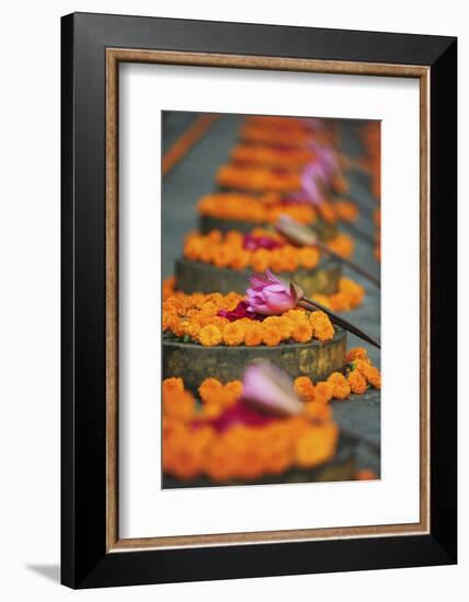 India, Bodh Gaya, Mahabodhi Complex, Great Awakening Temple, Flowers-Anthony Asael-Framed Photographic Print