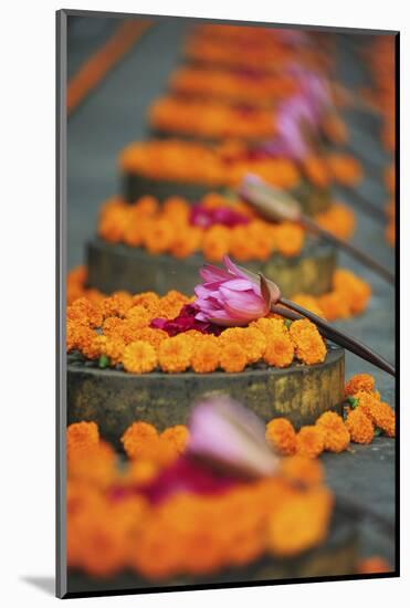 India, Bodh Gaya, Mahabodhi Complex, Great Awakening Temple, Flowers-Anthony Asael-Mounted Photographic Print
