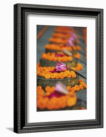 India, Bodh Gaya, Mahabodhi Complex, Great Awakening Temple, Flowers-Anthony Asael-Framed Photographic Print