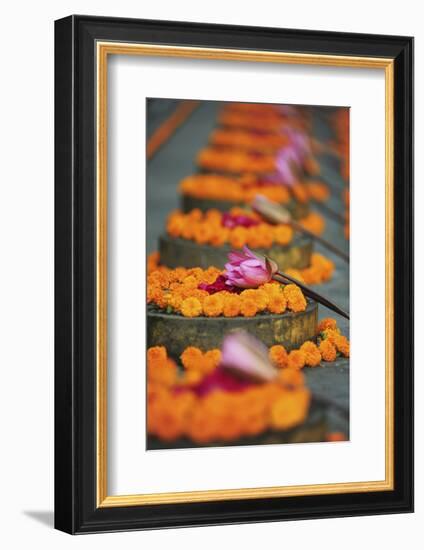 India, Bodh Gaya, Mahabodhi Complex, Great Awakening Temple, Flowers-Anthony Asael-Framed Photographic Print