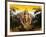 India Buddha-Daniel Stanford-Framed Art Print