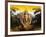 India Buddha-Daniel Stanford-Framed Art Print