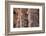 India. Column details at the Alai-Darwaza complex in New Delhi.-Ralph H. Bendjebar-Framed Photographic Print