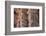 India. Column details at the Alai-Darwaza complex in New Delhi.-Ralph H. Bendjebar-Framed Photographic Print