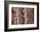 India. Column details at the Alai-Darwaza complex in New Delhi.-Ralph H. Bendjebar-Framed Photographic Print