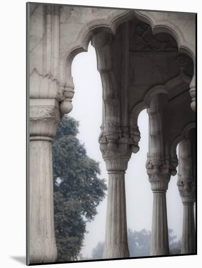 India, Delhi, Old Delhi, Red Fort-Jane Sweeney-Mounted Photographic Print