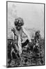 India, Fakir with monkeys, c.1890-1925-null-Mounted Photographic Print