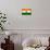 India Flag Design with Wood Patterning - Flags of the World Series-Philippe Hugonnard-Mounted Art Print displayed on a wall