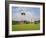 India Gate, 42 Metre High, Eastern End of the Rajpath, New Delhi, Delhi, India, Asia-Gavin Hellier-Framed Photographic Print