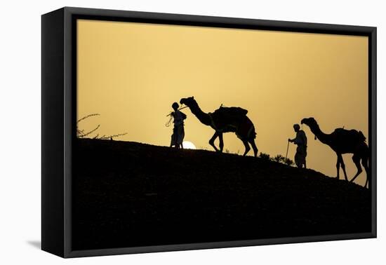 India, Gujarat, Bhuj, Great Rann of Kutch, Tribe. Camels and tribesmen-Ellen Goff-Framed Premier Image Canvas