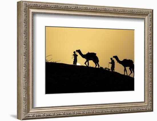 India, Gujarat, Bhuj, Great Rann of Kutch, Tribe. Camels and tribesmen-Ellen Goff-Framed Photographic Print