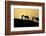 India, Gujarat, Bhuj, Great Rann of Kutch, Tribe. Camels and tribesmen-Ellen Goff-Framed Photographic Print