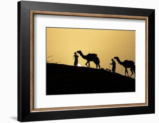 India, Gujarat, Bhuj, Great Rann of Kutch, Tribe. Camels and tribesmen-Ellen Goff-Framed Photographic Print