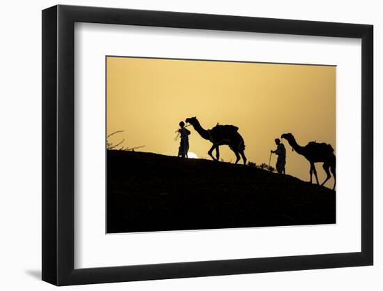 India, Gujarat, Bhuj, Great Rann of Kutch, Tribe. Camels and tribesmen-Ellen Goff-Framed Photographic Print