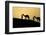 India, Gujarat, Bhuj, Great Rann of Kutch, Tribe. Camels and tribesmen-Ellen Goff-Framed Photographic Print