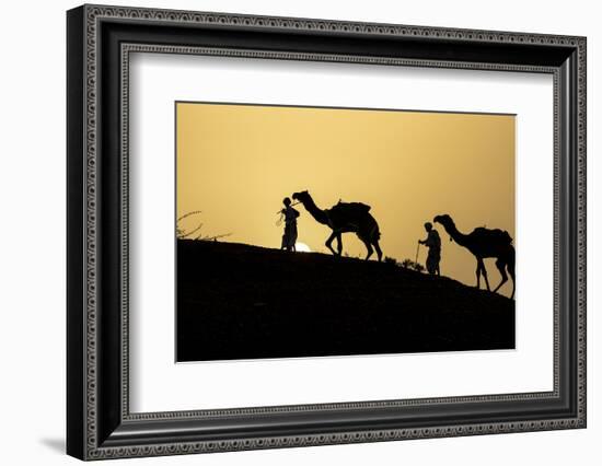 India, Gujarat, Bhuj, Great Rann of Kutch, Tribe. Camels and tribesmen-Ellen Goff-Framed Photographic Print