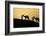 India, Gujarat, Bhuj, Great Rann of Kutch, Tribe. Camels and tribesmen-Ellen Goff-Framed Photographic Print