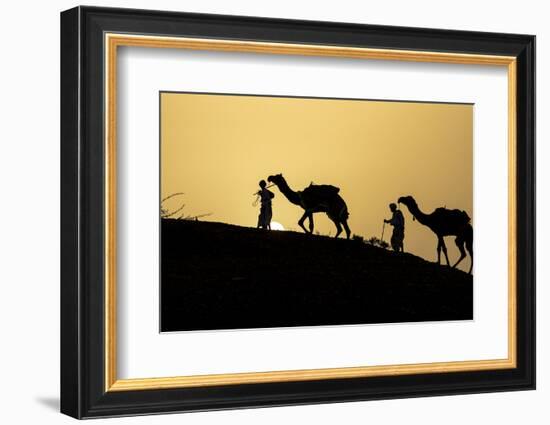 India, Gujarat, Bhuj, Great Rann of Kutch, Tribe. Camels and tribesmen-Ellen Goff-Framed Photographic Print