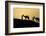 India, Gujarat, Bhuj, Great Rann of Kutch, Tribe. Camels and tribesmen-Ellen Goff-Framed Photographic Print