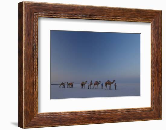 India Gujarat-Art Wolfe-Framed Photographic Print