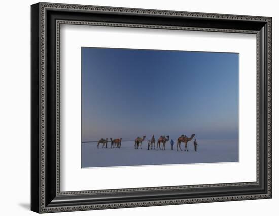 India Gujarat-Art Wolfe-Framed Photographic Print