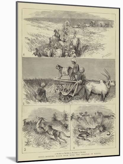 India, Hunting Black Buck with the Cheetah in Baroda-null-Mounted Giclee Print