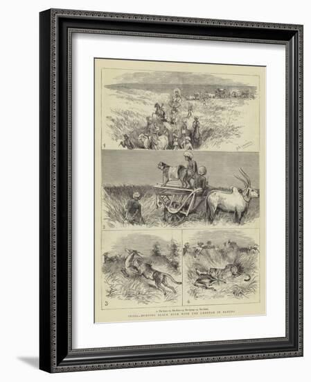 India, Hunting Black Buck with the Cheetah in Baroda-null-Framed Giclee Print