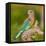 India. Indian Roller at Bandhavgarh Tiger Reserve.-Ralph H. Bendjebar-Framed Premier Image Canvas