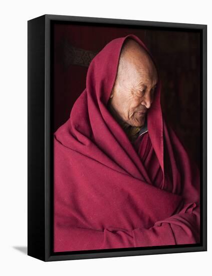 India, Ladakh, Likir, Senior Monk at Likir Monastery, Ladakh, India-Katie Garrod-Framed Premier Image Canvas
