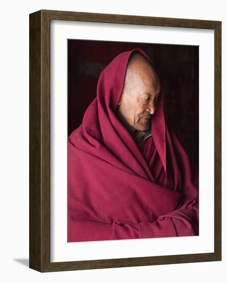 India, Ladakh, Likir, Senior Monk at Likir Monastery, Ladakh, India-Katie Garrod-Framed Photographic Print