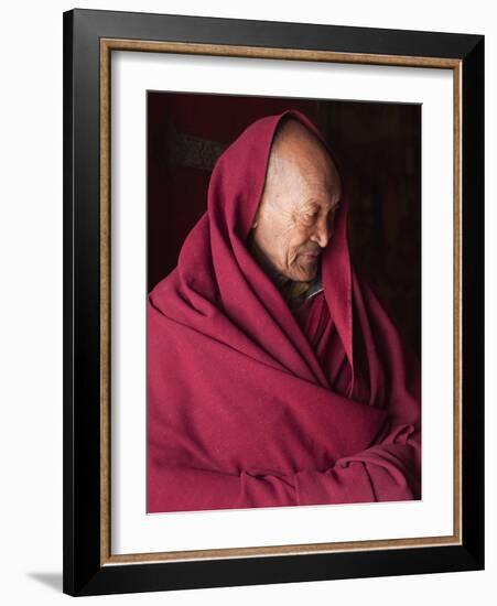 India, Ladakh, Likir, Senior Monk at Likir Monastery, Ladakh, India-Katie Garrod-Framed Photographic Print