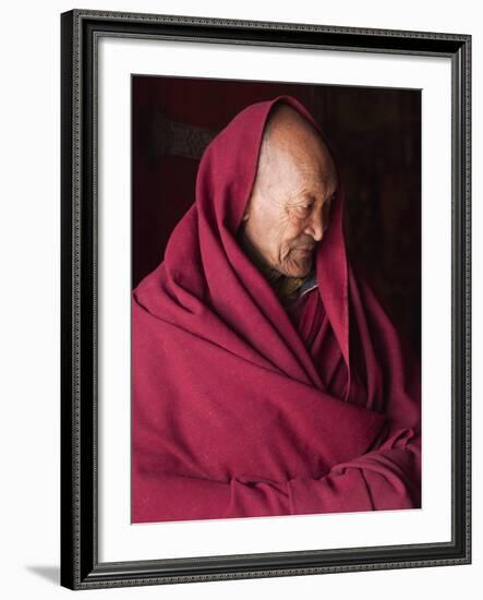 India, Ladakh, Likir, Senior Monk at Likir Monastery, Ladakh, India-Katie Garrod-Framed Photographic Print