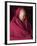 India, Ladakh, Likir, Senior Monk at Likir Monastery, Ladakh, India-Katie Garrod-Framed Photographic Print