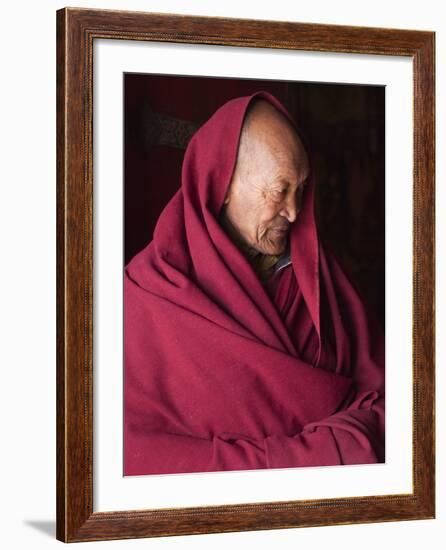 India, Ladakh, Likir, Senior Monk at Likir Monastery, Ladakh, India-Katie Garrod-Framed Photographic Print