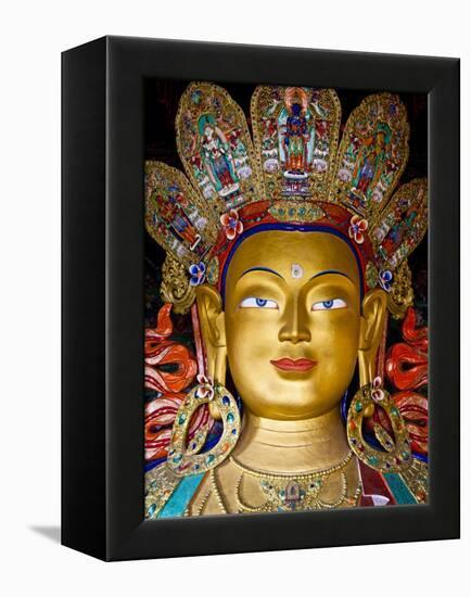 India, Ladakh, Thiksey, the Immense and Beautifully Gilded Maitreya Buddha in the Chamkhang Temple-Katie Garrod-Framed Premier Image Canvas