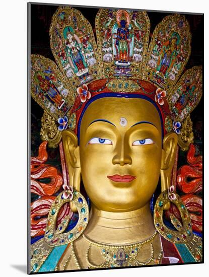 India, Ladakh, Thiksey, the Immense and Beautifully Gilded Maitreya Buddha in the Chamkhang Temple-Katie Garrod-Mounted Photographic Print