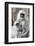 India, Madhya Pradesh, Bandhavgarh National Park. A female langur cuddles with her year-old baby.-Ellen Goff-Framed Photographic Print