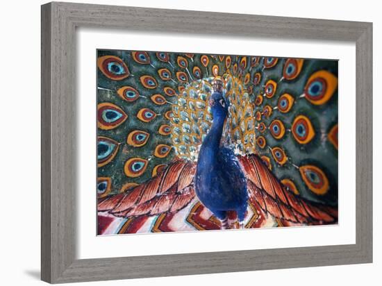 India: Peacock-null-Framed Giclee Print