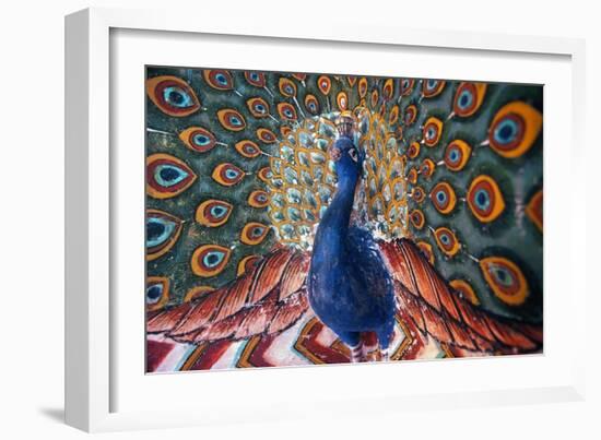 India: Peacock-null-Framed Giclee Print