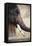 India, Rajasthan, Amber, Amer Fort, Painted Indian Elephant-Dave Bartruff-Framed Premier Image Canvas