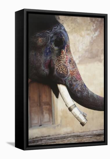 India, Rajasthan, Amber, Amer Fort, Painted Indian Elephant-Dave Bartruff-Framed Premier Image Canvas