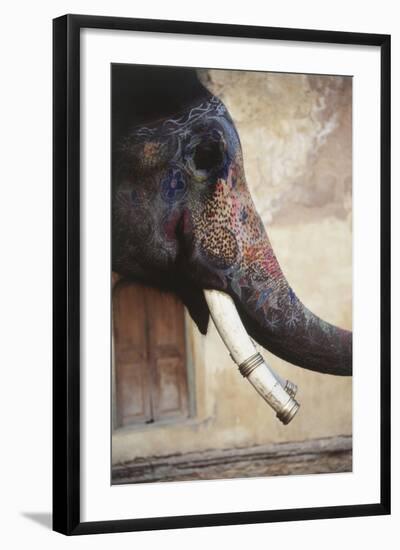 India, Rajasthan, Amber, Amer Fort, Painted Indian Elephant-Dave Bartruff-Framed Photographic Print