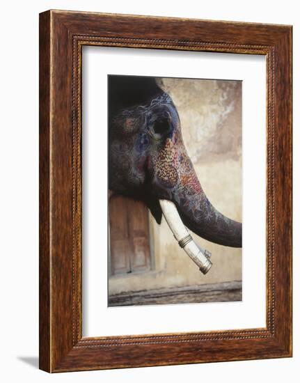 India, Rajasthan, Amber, Amer Fort, Painted Indian Elephant-Dave Bartruff-Framed Photographic Print