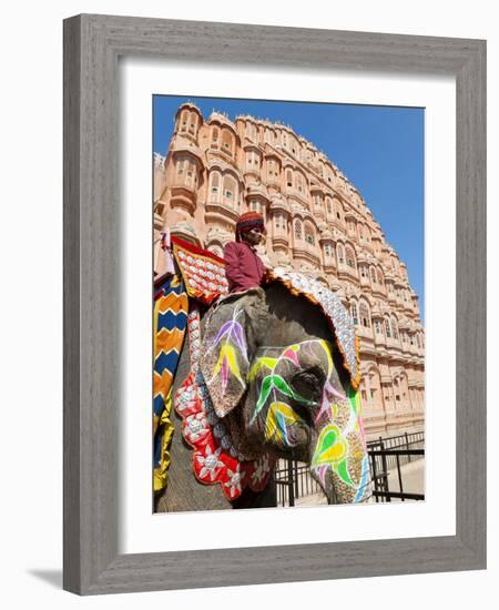 India, Rajasthan, Jaipur, Ceremonial Decorated Elephant Outside the Hawa Mahal, Palace of the Winds-Gavin Hellier-Framed Photographic Print